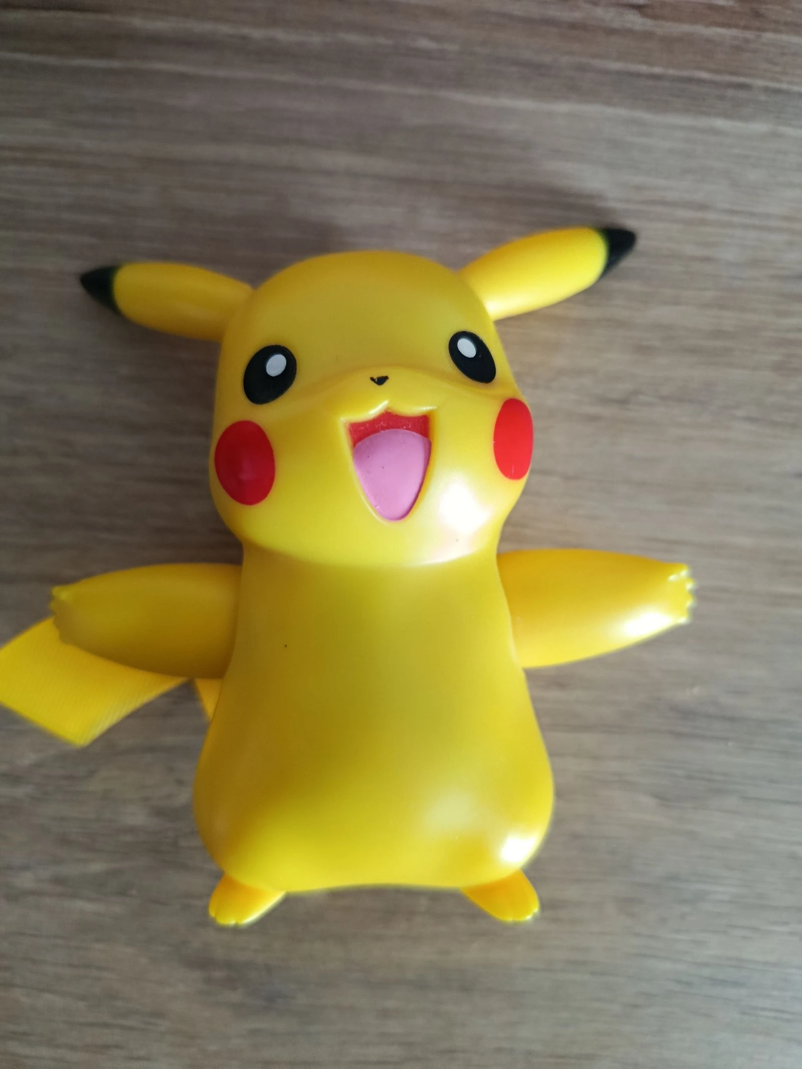 Meu parceiro Pokémon Pikachu – photo 2